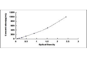 Defensin beta 2 (BD-2) ELISA Kit