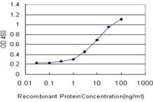 Detection limit for recombinant GST tagged FOXO3A is approximately 0. (FOXO3 anticorps  (AA 361-460))