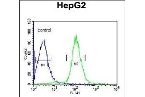 DI Antibody (Center) (ABIN653065 and ABIN2842666) flow cytometric analysis of HepG2 cells (right histogram) comred to a negative control cell (left histogram). (CCDC85B anticorps  (AA 69-96))