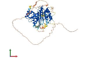 AlphaFold protein structure predicition of Mouse Recombinant Lgsn Protein, UniprotID Q8CIX8