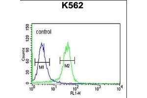 JMJD2B Antibody (N-term) (ABIN653341 and ABIN2842825) flow cytometric analysis of K562 cells (right histogram) compared to a negative control cell (left histogram). (KDM4B anticorps  (N-Term))