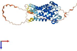 AlphaFold protein structure predicition of Human Recombinant MTCH1 Protein, UniprotID Q9NZJ7
