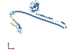 AlphaFold protein structure predicition of Human Recombinant TRIM10 Protein, UniprotID Q9UDY6