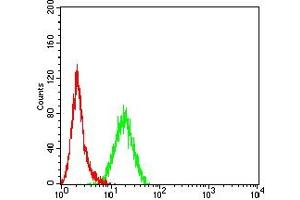 Flow cytometric analysis of Hela cells using SMYD2 mouse mAb (green) and negative control (red).
