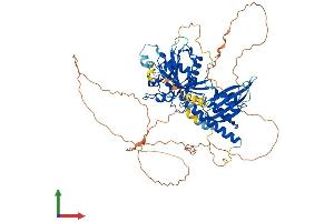 AlphaFold protein structure predicition of Human Recombinant RAP1GAP Protein, UniprotID P47736