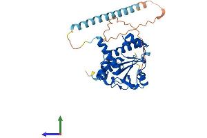 AlphaFold protein structure predicition of Mouse Recombinant Trmt10b Protein, UniprotID Q9D075