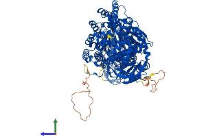 AlphaFold protein structure predicition of Human Recombinant ERAP1 Protein, UniprotID Q9NZ08