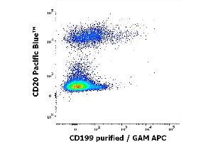 Flow cytometry multicolor surface staining pattern of human lymphocytes using anti-human CD199 (C9Mab-1) purified antibody (concentration in sample 0. (CCR9 anticorps)
