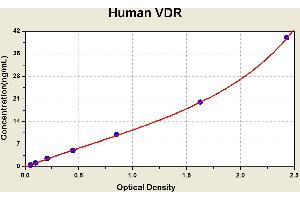 Diagramm of the ELISA kit to detect Human VDRwith the optical density on the x-axis and the concentration on the y-axis.