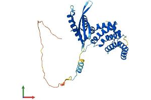 AlphaFold protein structure predicition of Mouse Recombinant Snx20 Protein, UniprotID Q9D2Y5