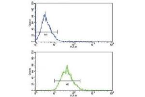 LDLR antibody flow analysis of MCF-7 cells (bottom histogram) compared to a negative control (top histogram).