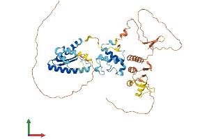 AlphaFold protein structure predicition of Mouse Recombinant Nrf1 Protein, UniprotID Q9WU00