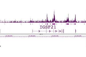 Histone H2B acetyl Lys120 pAb tested by ChIP-Seq.