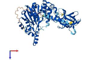 AlphaFold protein structure predicition of Mouse Recombinant Galnt1 Protein, UniprotID O08912