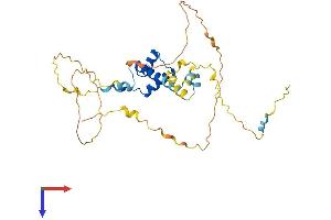 AlphaFold protein structure predicition of Mouse Recombinant Barhl1 Protein, UniprotID P63157