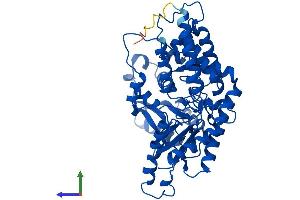 AlphaFold protein structure predicition of Human Recombinant CSAD Protein, UniprotID Q9Y600