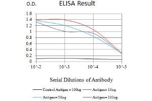 Black line: Control Antigen (100 ng),Purple line: Antigen (10 ng), Blue line: Antigen (50 ng), Red line:Antigen (100 ng) (TIA1 anticorps  (AA 1-215))