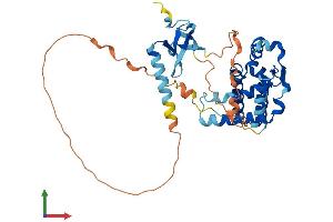 AlphaFold protein structure predicition of Mouse Recombinant Morf4l1 Protein, UniprotID P60762