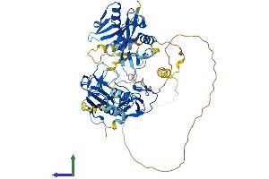 AlphaFold protein structure predicition of Human Recombinant DTX4 Protein, UniprotID Q9Y2E6