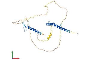 AlphaFold protein structure predicition of Human Recombinant RFXAP Protein, UniprotID O00287