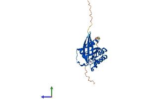 AlphaFold protein structure predicition of Human Recombinant RAB5A Protein, UniprotID P20339