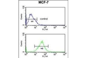 SNRPD3 Antibody (C-term) (ABIN653228 and ABIN2842762) flow cytometric analysis of MCF-7 cells (bottom histogram) compared to a negative control cell (top histogram). (SNRPD3 anticorps  (C-Term))