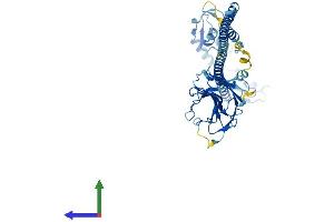 AlphaFold protein structure predicition of Human Recombinant TRIM38 Protein, UniprotID O00635