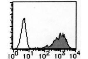 Flow Cytometry (FACS) image for anti-Solute Carrier Family 3 (Activators of Dibasic and Neutral Amino Acid Transport), Member 2 (SLC3A2) antibody (ABIN1449273)