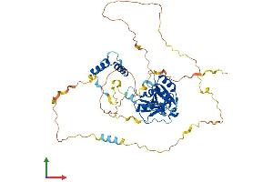 AlphaFold protein structure predicition of Mouse Recombinant Rnpc3 Protein, UniprotID Q3UZ01