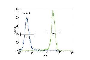 Flow cytometric analysis of 293 cells (right histogram) compared to a negative control cell (left histogram).
