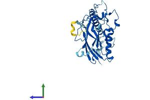 AlphaFold protein structure predicition of Human Recombinant ATP1B1 Protein, UniprotID P05026