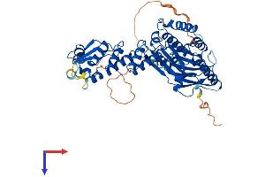 AlphaFold protein structure predicition of Mouse Recombinant Gmcl1 Protein, UniprotID Q920G9