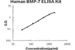 Human BMP-7 PicoKine ELISA Kit standard curve