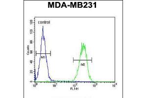 Flow cytometric analysis of MDA-MB231 cells (right histogram) compared to a negative control cell (left histogram).