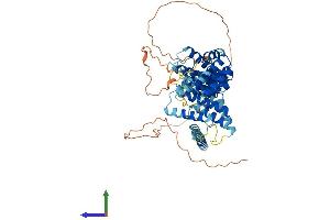 AlphaFold protein structure predicition of Human Recombinant SPATA16 Protein, UniprotID Q9BXB7
