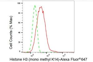 Flow cytometric analysis of Histone H3 (mono methyl K14) expression in C2C12 cells using Histone H3 (mono methyl K14) antibody (ABIN7798958), 1:2,000). (Recombinant Histone 3 anticorps  (H3K14me1))