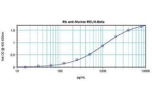 Image no. 5 for anti-Resistin Like beta (RETNLB) antibody (ABIN465495) (RETNLB anticorps)