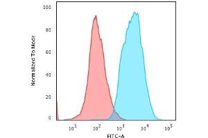Flow Cytometric Analysis of human HeLa cells. (KRT anticorps)