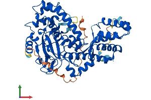 AlphaFold protein structure predicition of Mouse Recombinant Setd6 Protein, UniprotID Q9CWY3
