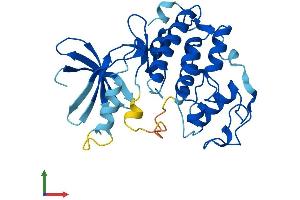 AlphaFold protein structure predicition of Human Recombinant CDK1 Protein, UniprotID P06493