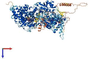 AlphaFold protein structure predicition of Human Recombinant PHKA1 Protein, UniprotID P46020