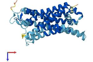 AlphaFold protein structure predicition of Human Recombinant OR51B4 Protein, UniprotID Q9Y5P0