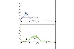 Flow cytometric analysis of K562 cells using ADH5 Antibody (Center)(bottom histogram) compared to a negative control cell (top histogram).