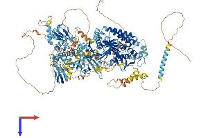 AlphaFold protein structure predicition of Mouse Recombinant Pnpla6 Protein, UniprotID Q3TRM4