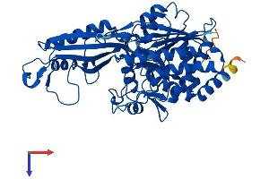 AlphaFold protein structure predicition of Mouse Recombinant Cndp1 Protein, UniprotID Q8BUG2