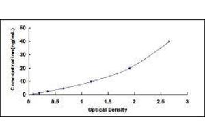 Typical standard curve (Major Basic Protein Kit ELISA)