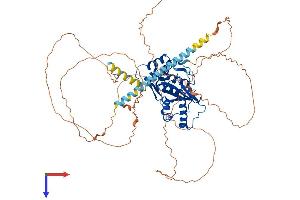 AlphaFold protein structure predicition of Human Recombinant SENP1 Protein, UniprotID Q9P0U3