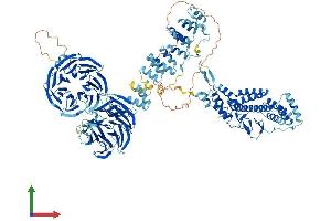 AlphaFold protein structure predicition of Mouse Recombinant Copa Protein, UniprotID Q8CIE6