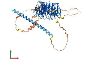 AlphaFold protein structure predicition of Human Recombinant POC1B Protein, UniprotID Q8TC44