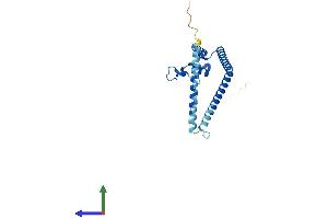 AlphaFold protein structure predicition of Human Recombinant GADD45GIP1 Protein, UniprotID Q8TAE8